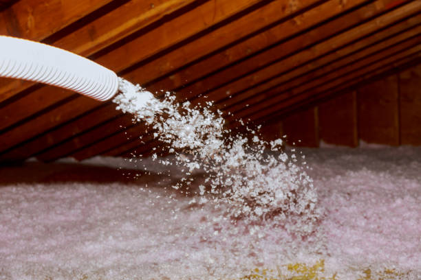 Trusted Coldwater, MI Insulation Contractor Experts