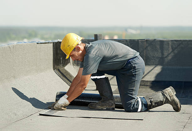 Best Geographic-Specific Insulation Services in Coldwater, MI